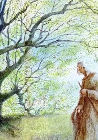 Ecole et cinéma Corrèze L'homme qui plantait