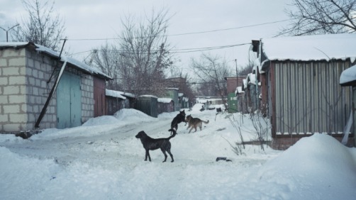 Séance documentaire